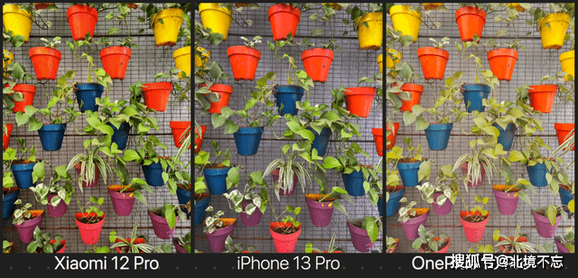 小米12Pro、iPhone13Pro、一加10Pro影像比拼<strong></p>
<p>火币Pro</strong>，国产手机还需努力