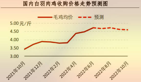 【行情】7月肉鸡市场行情分析及8月预测