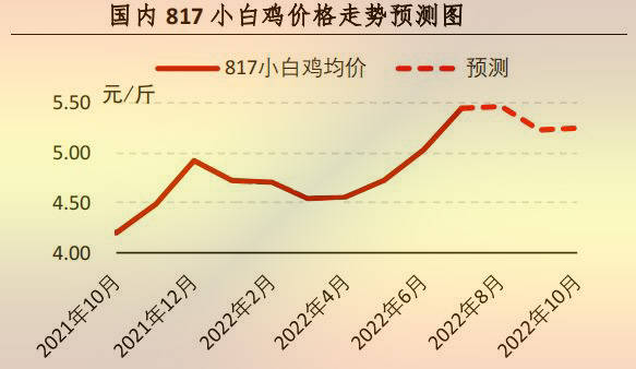 【行情】7月肉鸡市场行情分析及8月预测