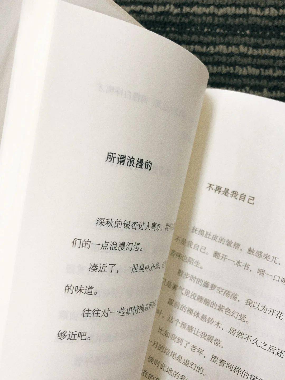 我遇见万物<strong></p>
<p>币物</strong>，万物也是我的笔记 | 《万物与我》