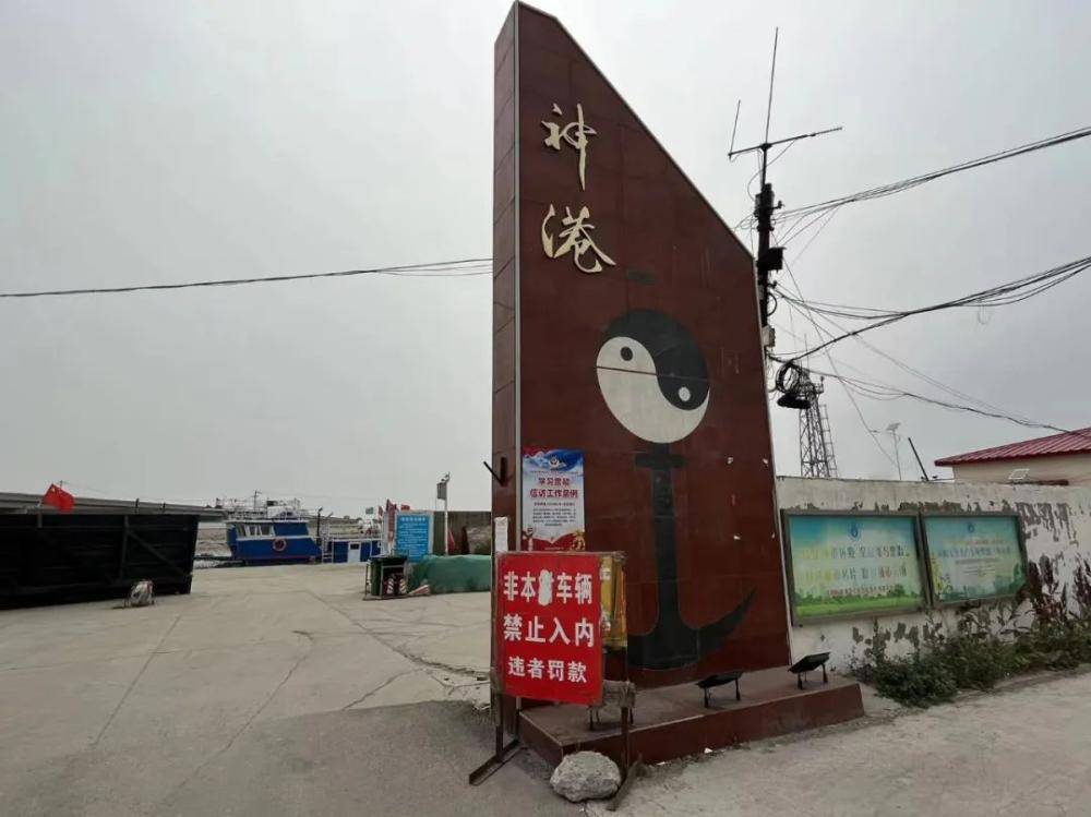 天津最后的渔村：靠海吃海<strong></p>
<p>海币</strong>，更要“养海”