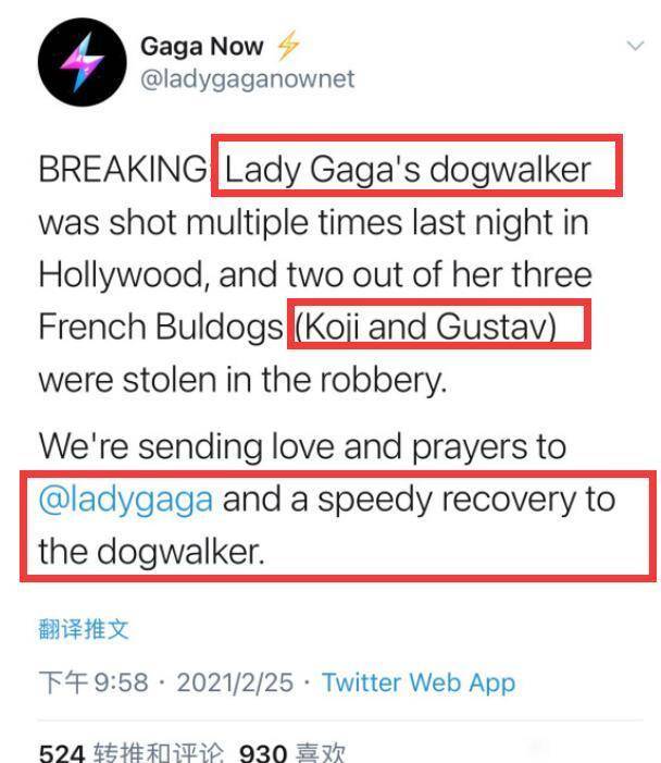 ladygaga遛狗员遭枪击受重伤<strong></p>
<p>好币网</strong>，2只狗被偷走，她本人愿意300万网民币赎回