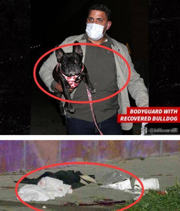 ladygaga遛狗员遭枪击受重伤<strong></p>
<p>好币网</strong>，2只狗被偷走，她本人愿意300万网民币赎回