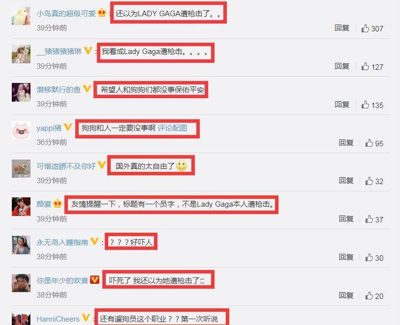 ladygaga遛狗员遭枪击受重伤<strong></p>
<p>好币网</strong>，2只狗被偷走，她本人愿意300万网民币赎回