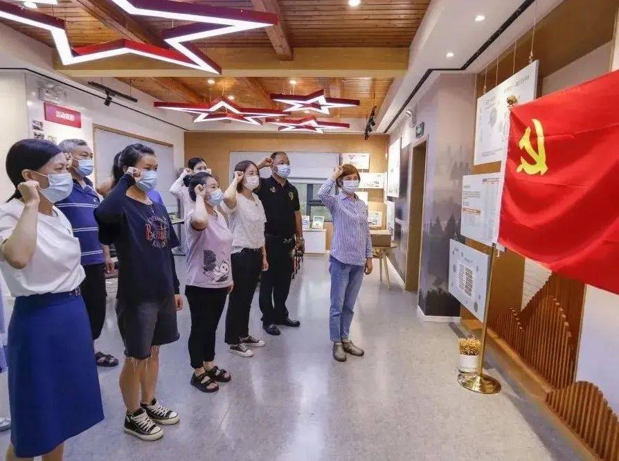 崇明这个村为啥能成为一个“宝藏村”