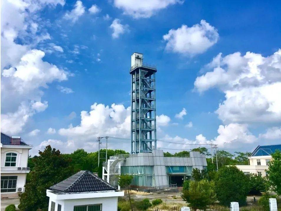 崇明这个村为啥能成为一个“宝藏村”