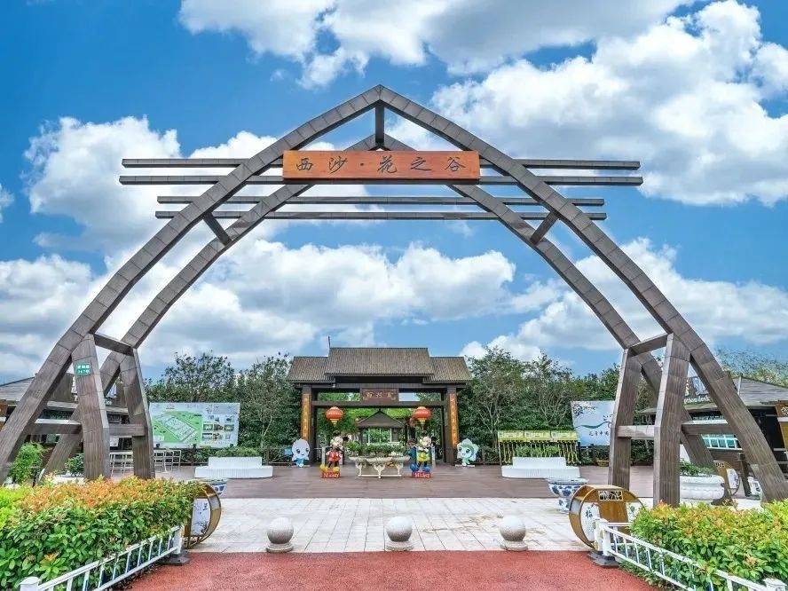 崇明这个村为啥能成为一个“宝藏村”
