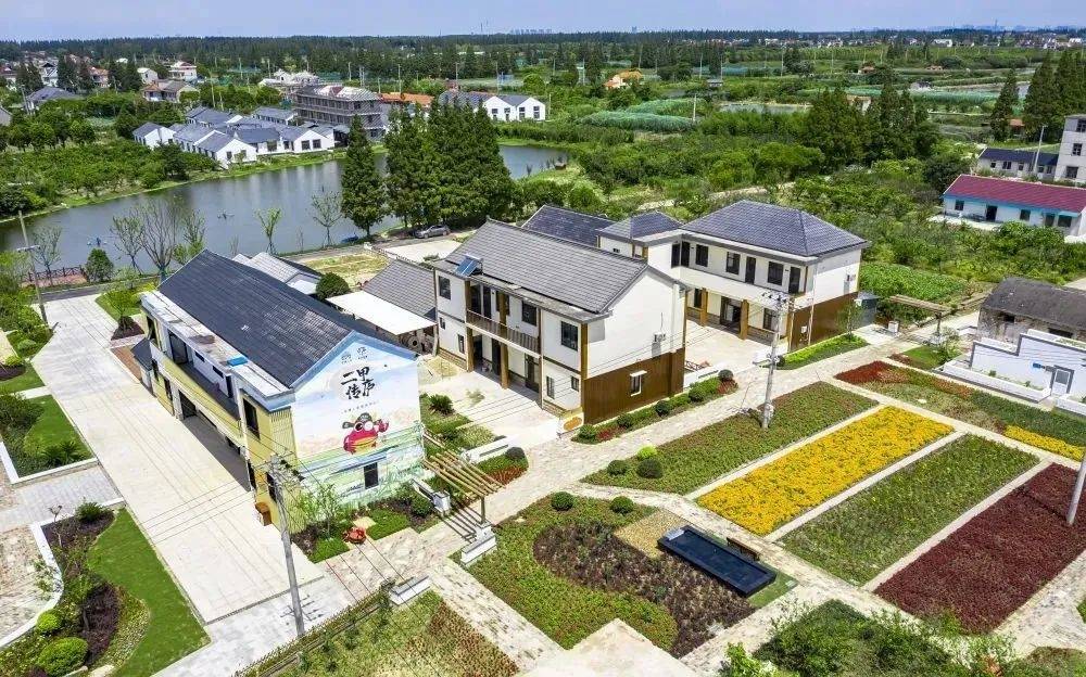 崇明这个村为啥能成为一个“宝藏村”
