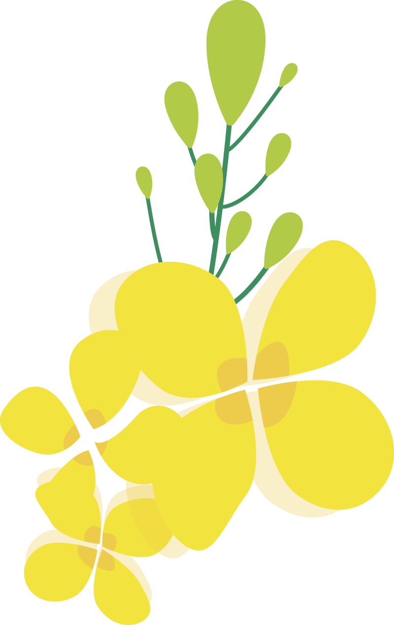【援滇】肩负使命<strong></p>
<p>滇币</strong>，精准援滇再出发
