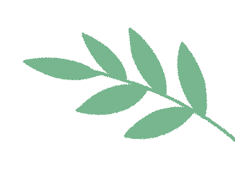 【援滇】肩负使命<strong></p>
<p>滇币</strong>，精准援滇再出发