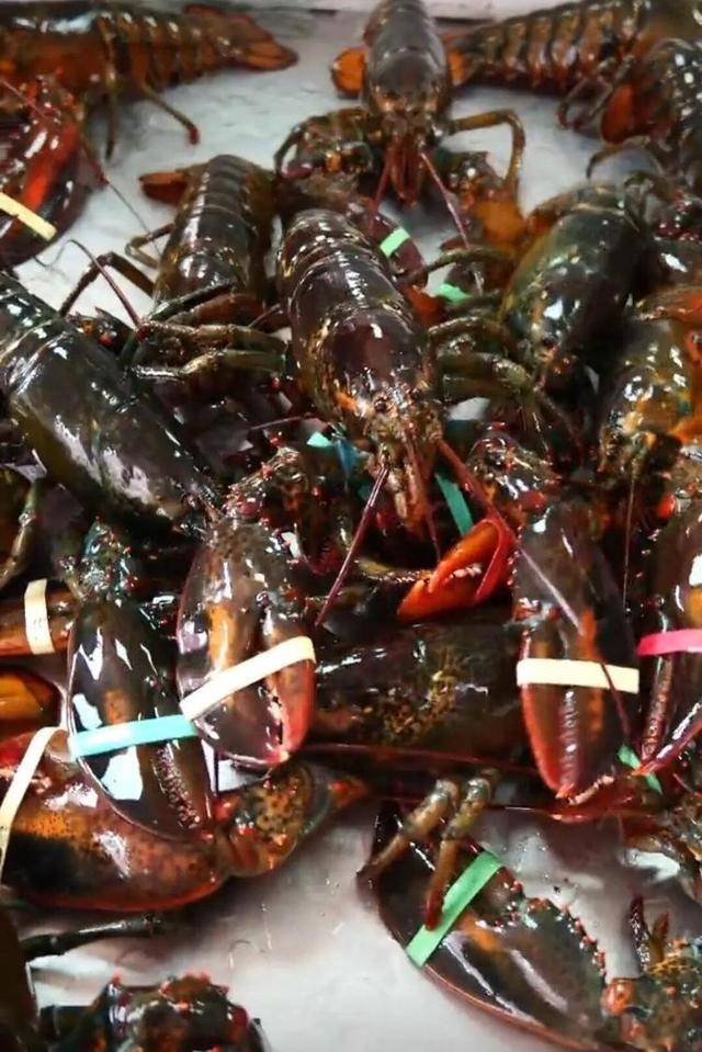 一天20元餐费能吃到龙虾、鲍鱼、海参……河南一幼儿园餐食走红<strong></p>
<p>美股100</strong>，网友称堪比星级酒店
