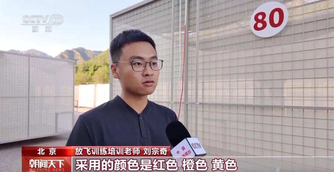 明天将放飞8万羽和平鸽、8万只气球<strong></p>
<p>中资美股</strong>，揭秘！
