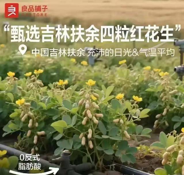 “花生上树”闹剧：AI翻车背后<strong></p>
<p>美股sbux</strong>，我们都在弄丢常识？
