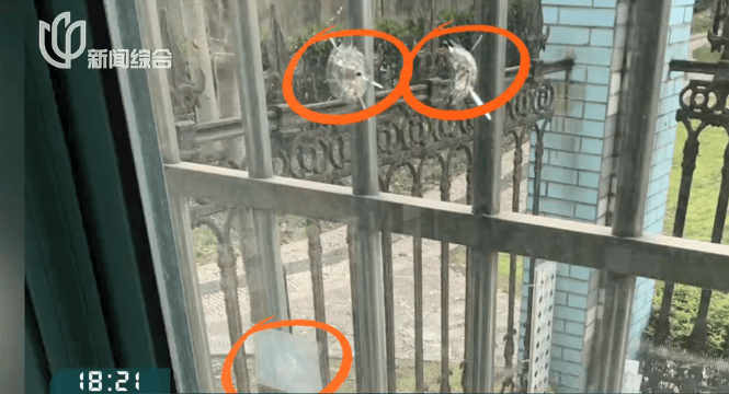 叶某(60岁)已被刑拘<strong></p>
<p>陌陌美股</strong>！监控曝光…网友怒斥如此行径太恶劣