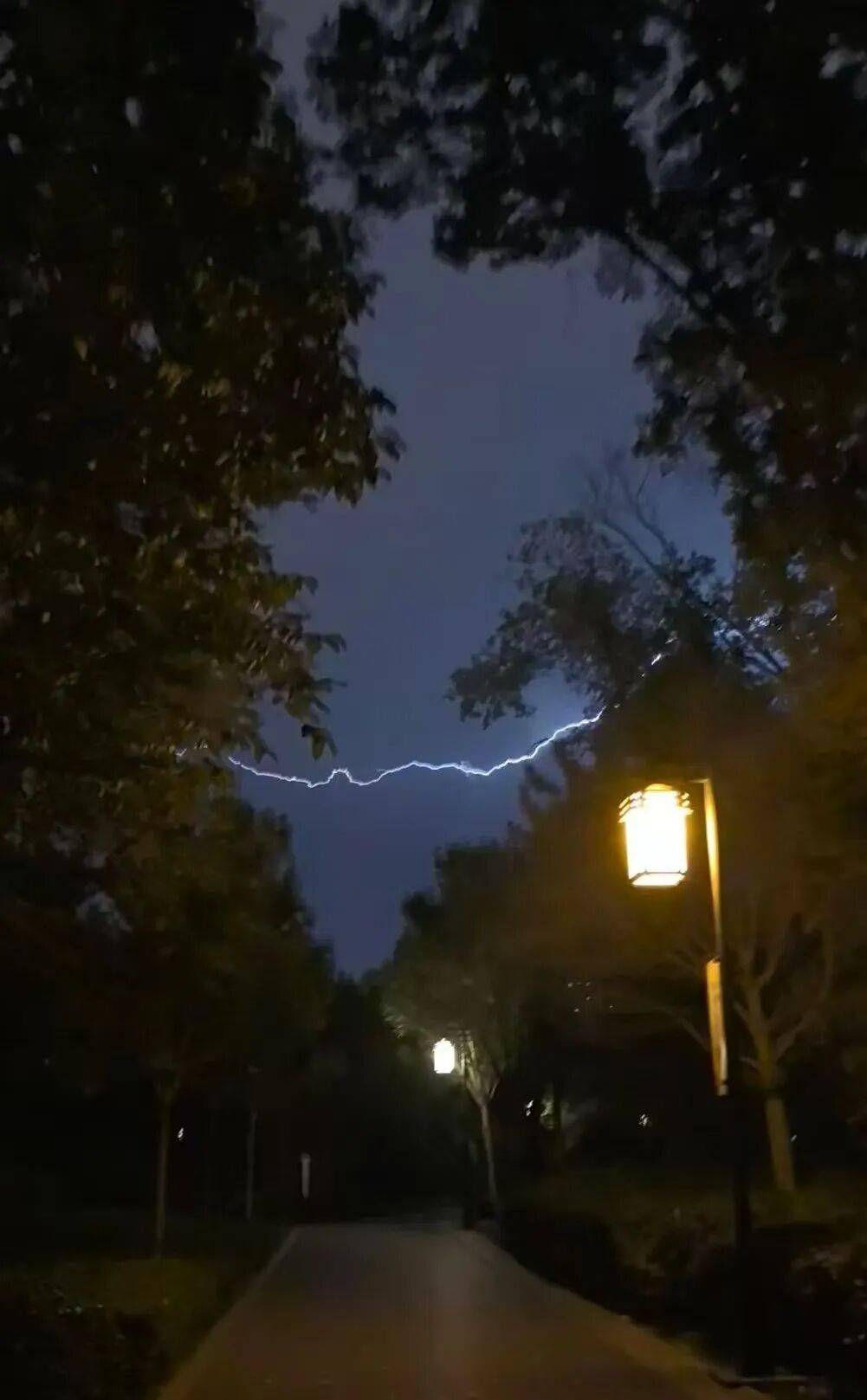 知名女主持人自曝：我雷暴哮喘了！太原这家医院急诊数小时内曾接诊400多人<strong></p>
<p>陌陌美股</strong>，近期高发