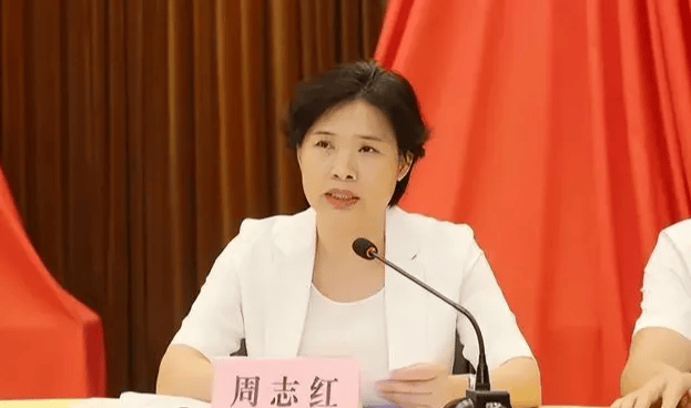 中共中央批准<strong></p>
<p>美股中国概念股</strong>，开除周志红党籍