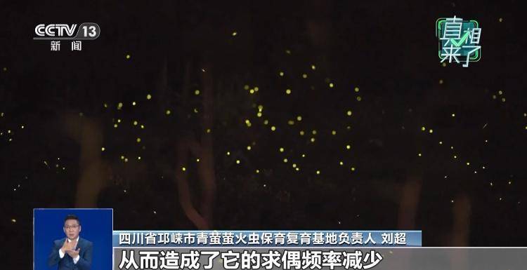 网传萤火虫濒临灭绝<strong></p>
<p>美股MU股票</strong>，是真的吗？