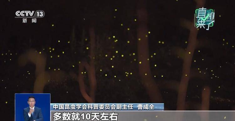 网传萤火虫濒临灭绝<strong></p>
<p>美股MU股票</strong>，是真的吗？