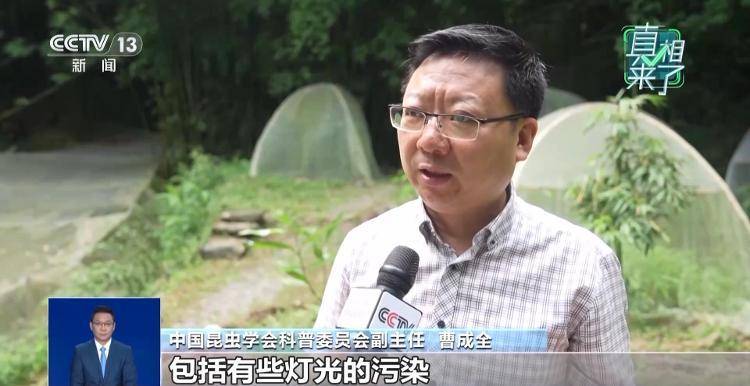 网传萤火虫濒临灭绝<strong></p>
<p>美股MU股票</strong>，是真的吗？