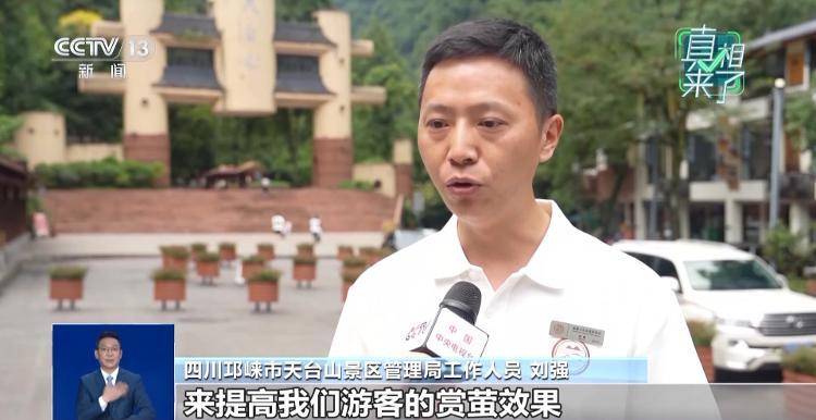 网传萤火虫濒临灭绝<strong></p>
<p>美股MU股票</strong>，是真的吗？