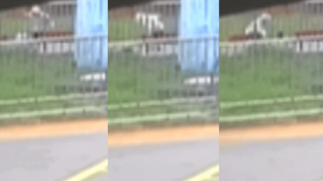 “44秒31刀”<strong></p>
<p>美国银行美股</strong>，台湾残忍情杀案曝光：多次寻求复合被拒，17岁少年网购长刀当众杀害21岁前女友，已被逮捕