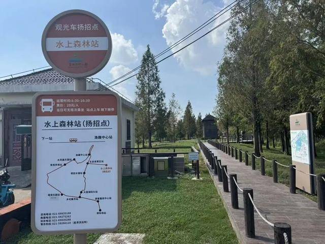 上海著名地标宣布：24小时内可免费停车<strong></p>
<p>美股被高估</strong>！