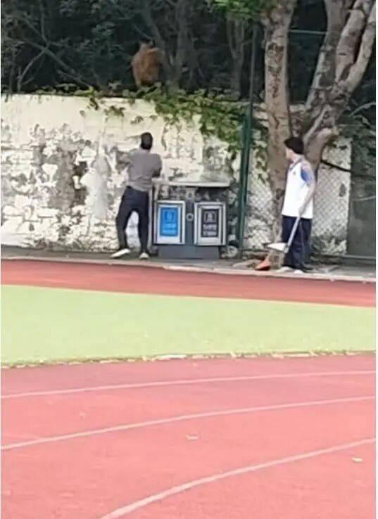 福建一公办职中保安被指当学生面<strong></p>
<p>美股被高估</strong>，从3米高墙扔出流浪狗！福清教育局：将核实情况