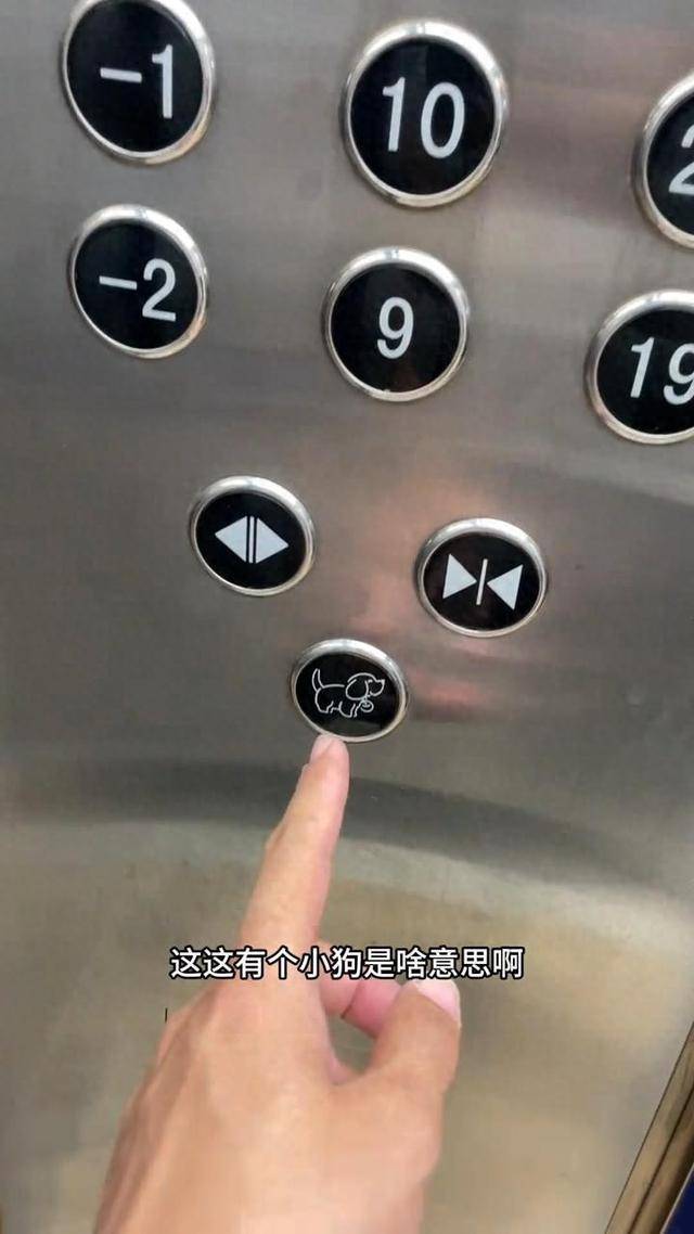 沈阳一小区电梯设“小狗按钮”<strong></p>
<p>美股</strong>，可通过按钮亮熄判断电梯里是否有狗，新款还有摄像头识别功能