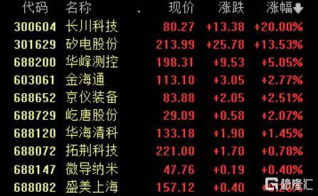 半导体设备又火了！500亿龙头业绩预告抢跑<strong></p>
<p>美股怎么分析</strong>，引爆“20CM”涨停