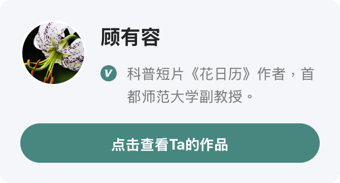 特别关注 | 在青藏高原放烟花<strong></p>
<p>美股怎么分析</strong>，到底错在了哪儿？