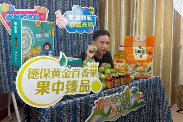 德保：粤桂协作聚合力 数智赋能促就业